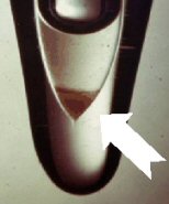 americijum