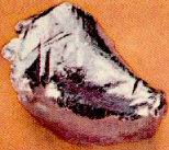tehnicijum