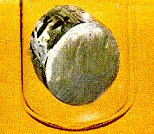 iterbijum