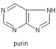 purin