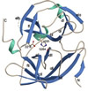 Proteaza